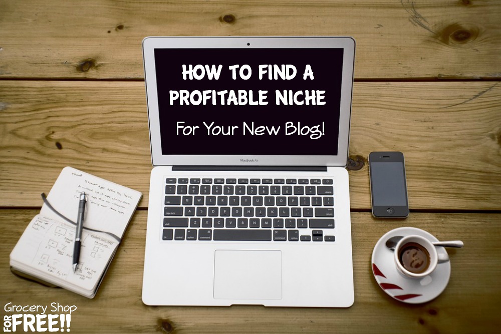 You've decided you want to start a blog. One of the most important choices when you're starting out is How To Find A Profitable Niche For Your New Blog. We'll explore that here.